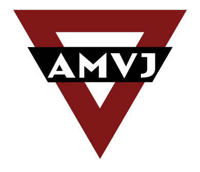 AMVJ Voetbal